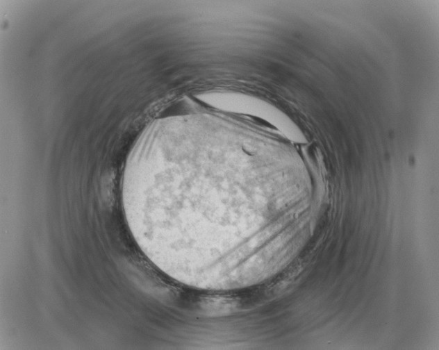 X0000086000319200704201838