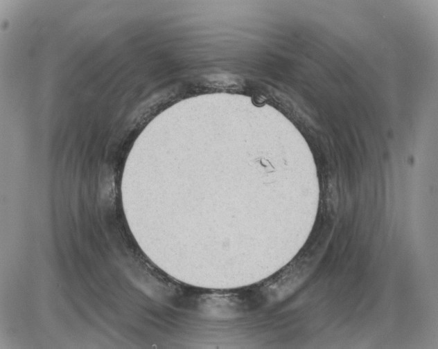 X0000086000320200704201838