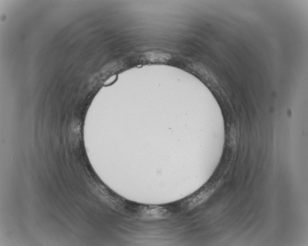 X0000086000321200704201838