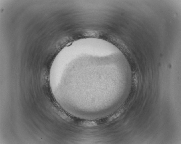 X0000086000322200704201838