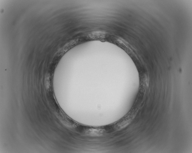 X0000086000323200704201838