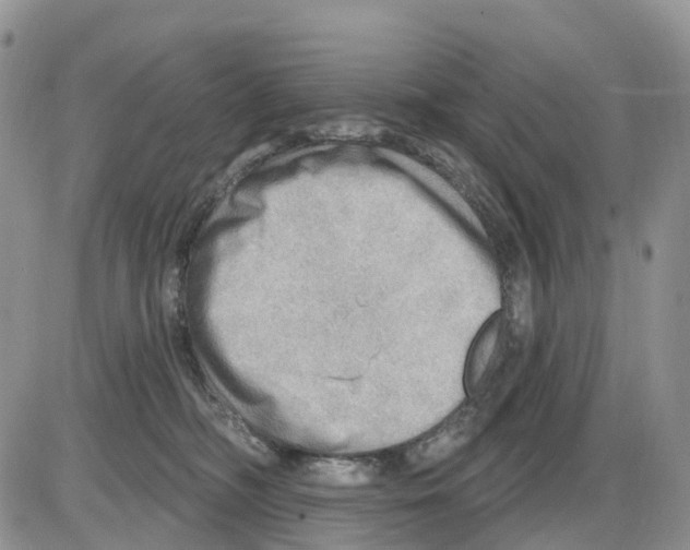 X0000086000326200704201838