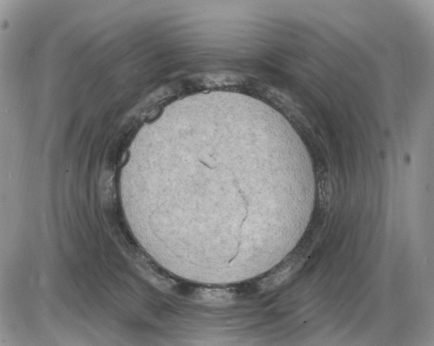 X0000086000327200704201838