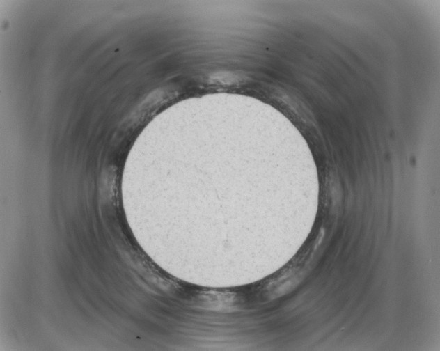 X0000086000328200704201838