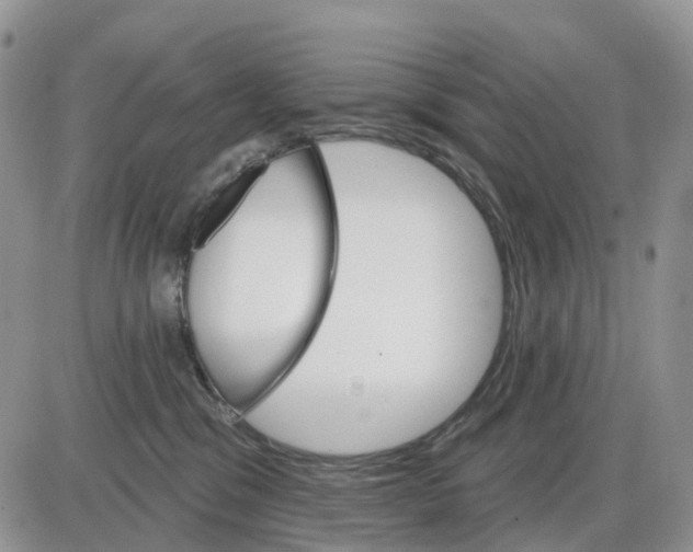 X0000086000329200704201837