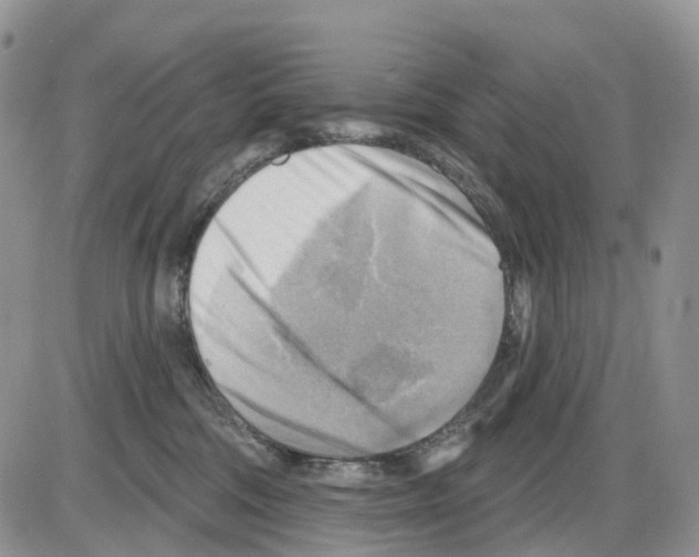 X0000086000330200704201837