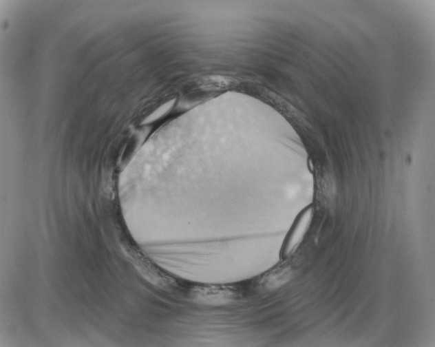 X0000086000331200704201837