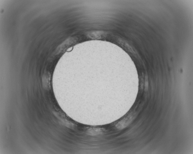 X0000086000332200704201837