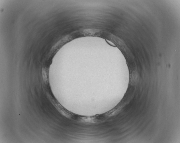 X0000086000335200704201837