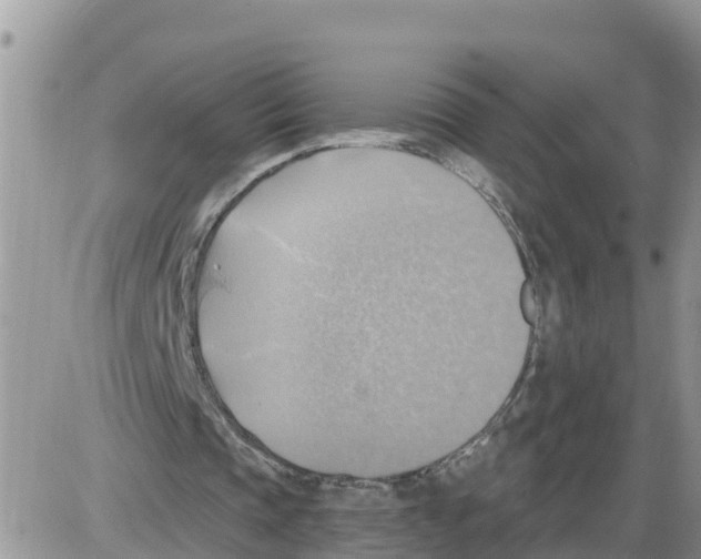 X0000086000337200704201837