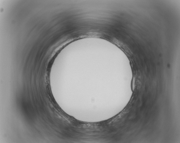 X0000086000338200704201837