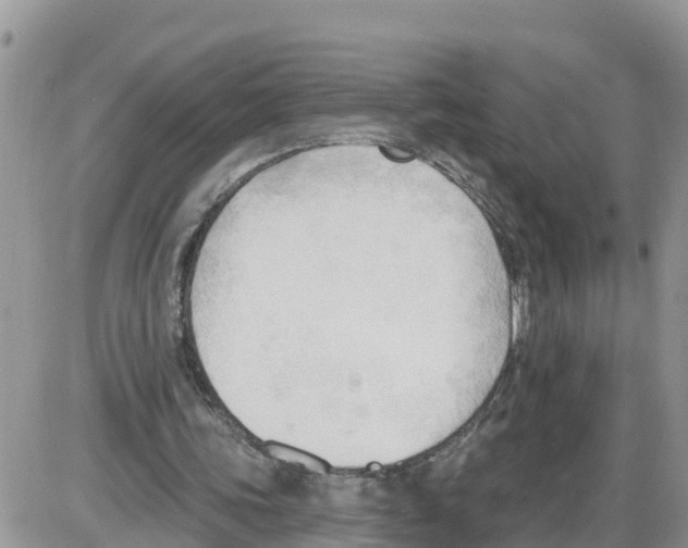 X0000086000339200704201837