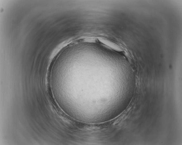 X0000086000340200704201837