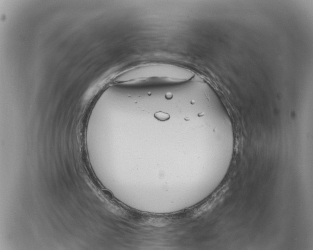 X0000086000341200704201837