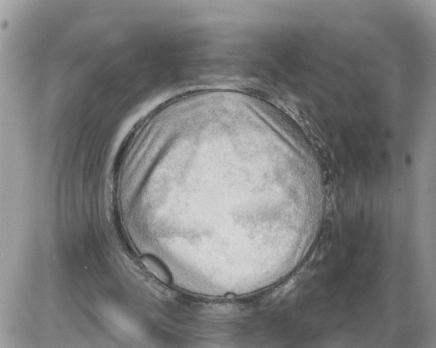 X0000086000342200704201837