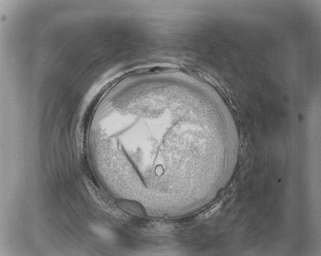 X0000086000343200704201837