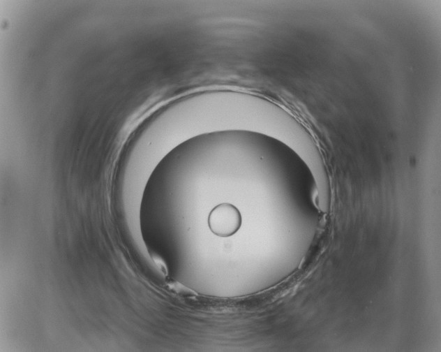 X0000086000344200704201837