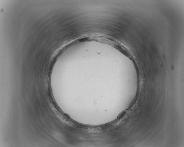 X0000086000345200704201837