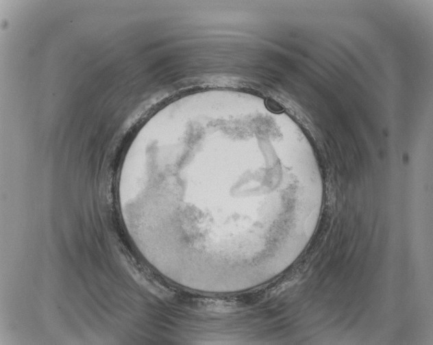 X0000086000347200704201837