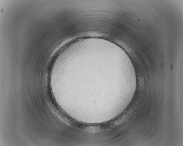 X0000086000350200704201837