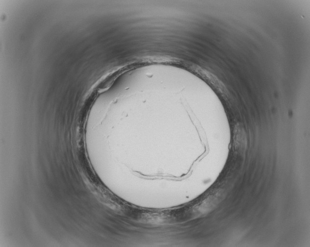 X0000086000351200704201837