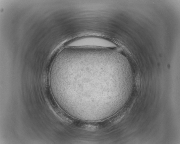 X0000086000352200704201837