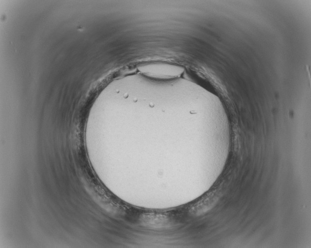 X0000086000354200704201837