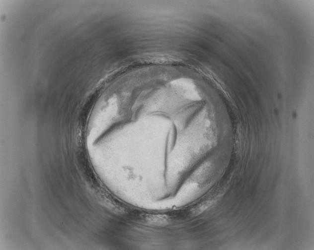 X0000086000355200704201837