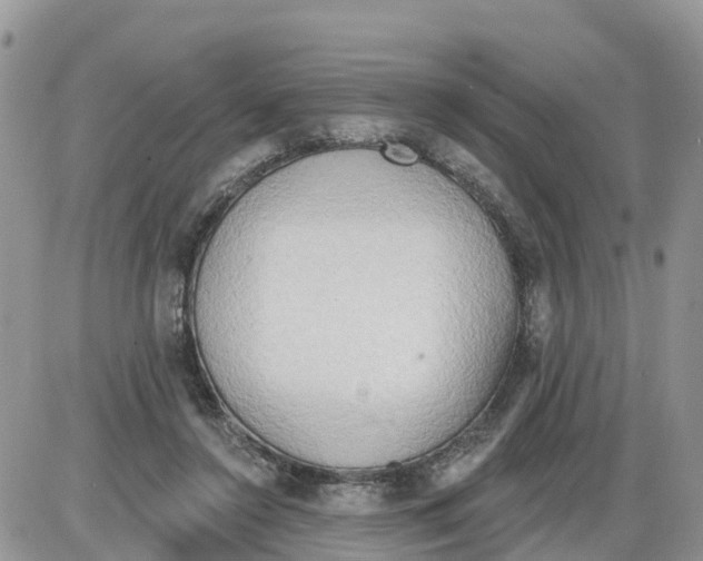 X0000086000356200704201837