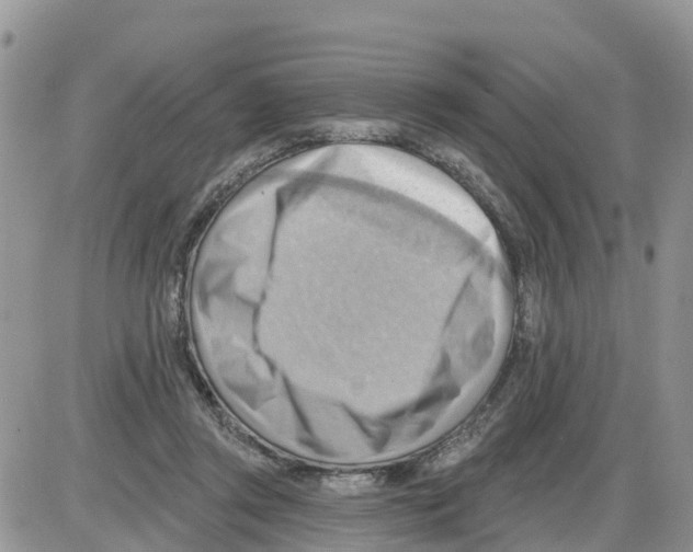 X0000086000357200704201837