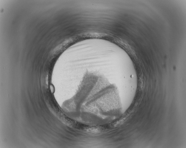 X0000086000358200704201837