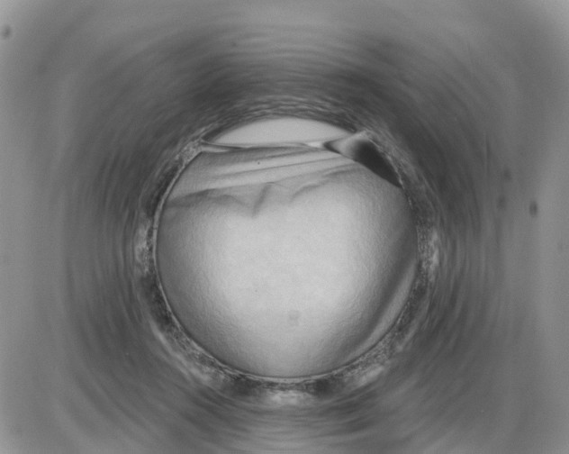 X0000086000360200704201837