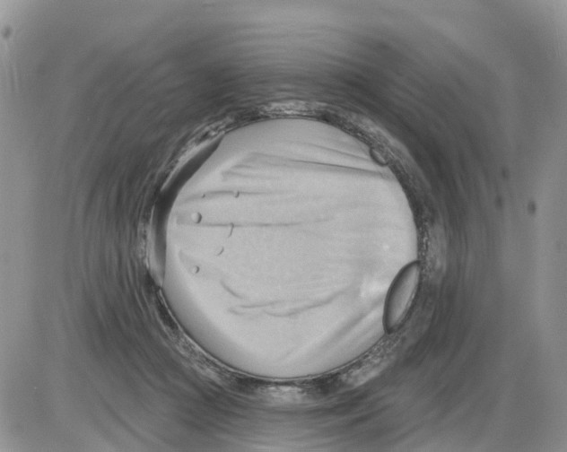 X0000086000361200704201837