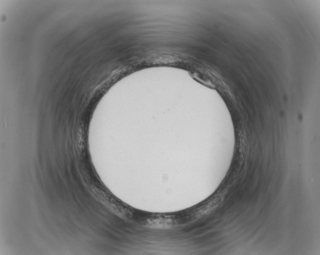 X0000086000362200704201837