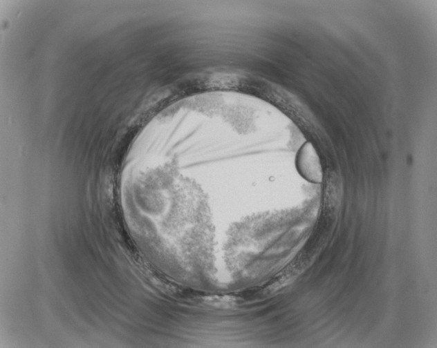 X0000086000363200704201837