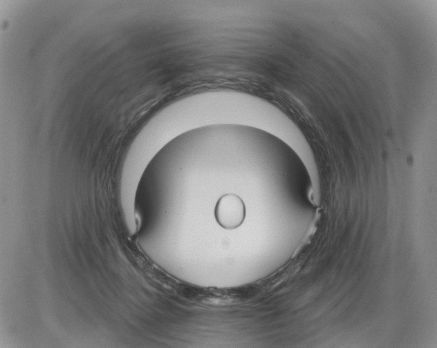 X0000086000364200704201837