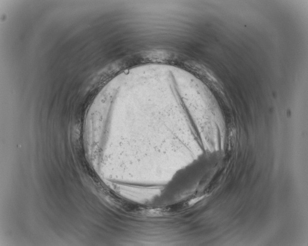 X0000086000365200704201837