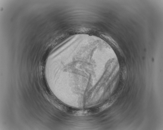 X0000086000366200704201837