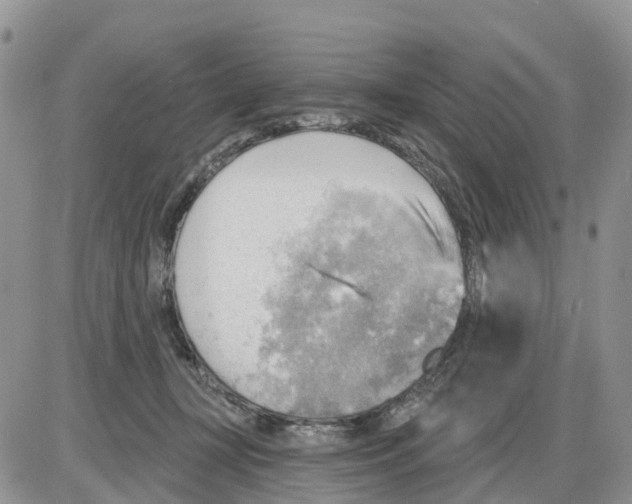 X0000086000367200704201837