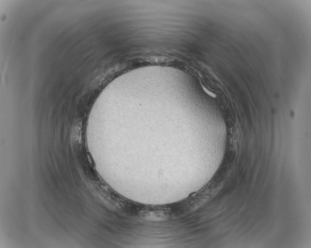 X0000086000368200704201837