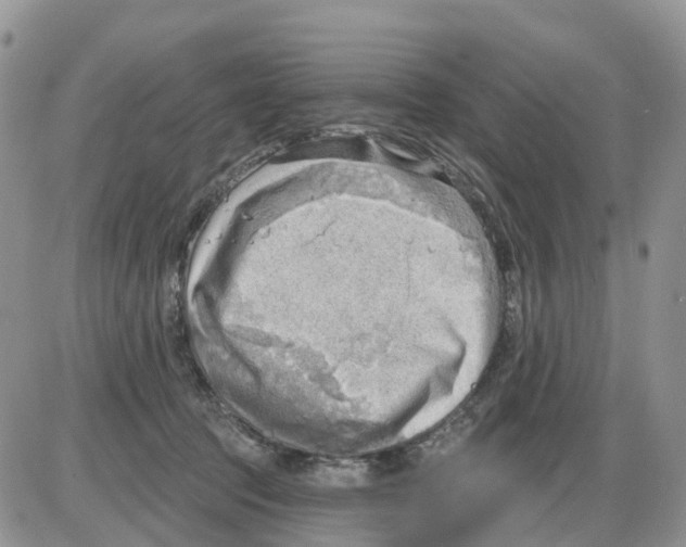 X0000086000369200704201837