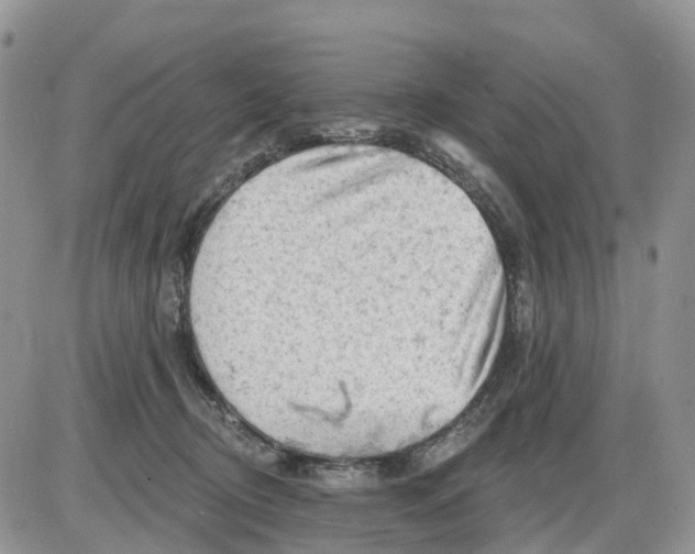 X0000086000370200704201837