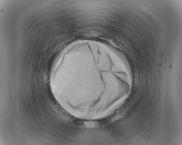 X0000086000371200704201837