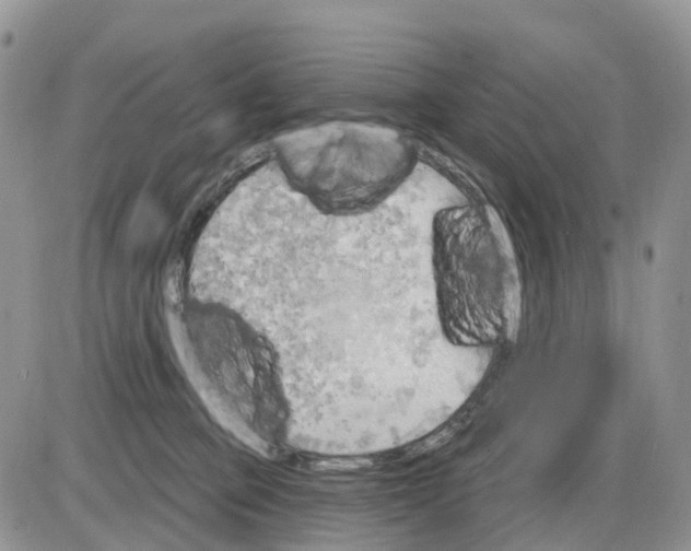 X0000086000373200704201837