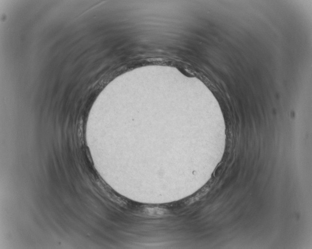 X0000086000376200704201837