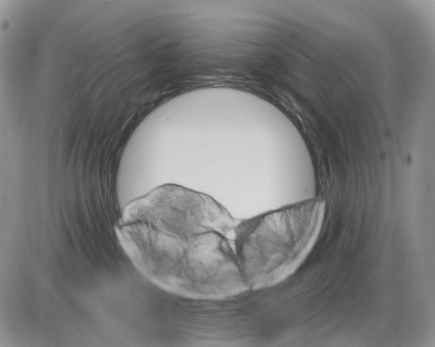 X0000086000377200704201837