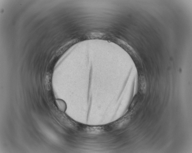 X0000086000378200704201837