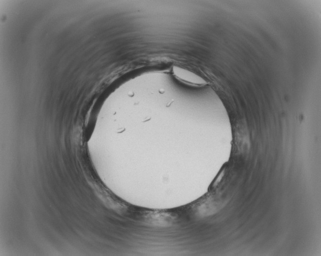 X0000086000379200704201837