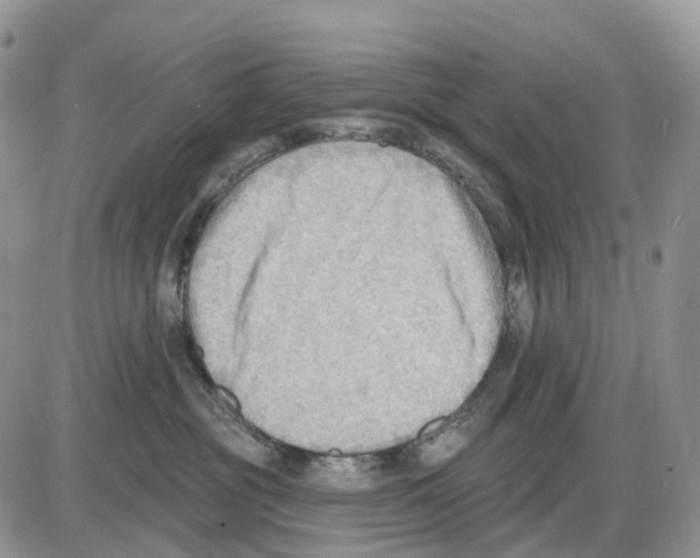 X0000086000381200704201837