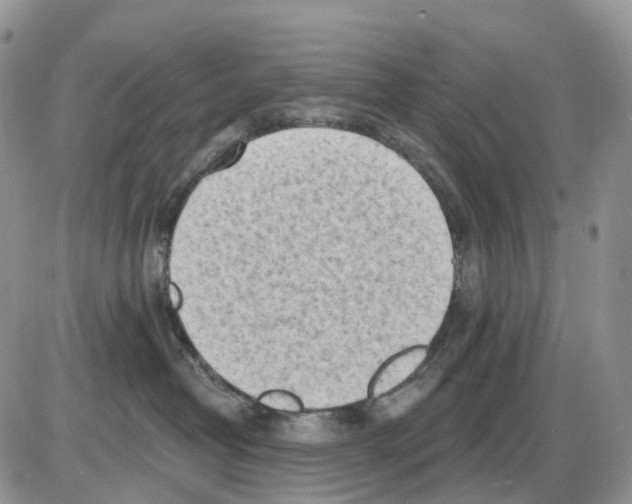 X0000086000382200704201837